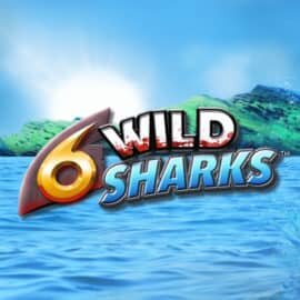 6 Wild Sharks