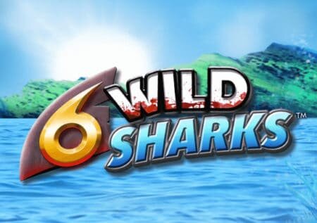 6 Wild Sharks