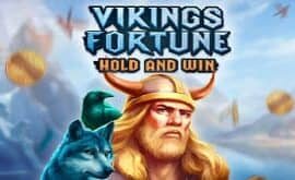 Vikings Fortune: Hold and Win