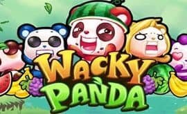 Wacky Panda