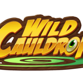 Wild Cauldron