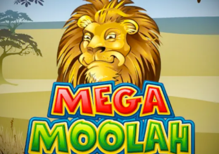 Mega Moolah Slots